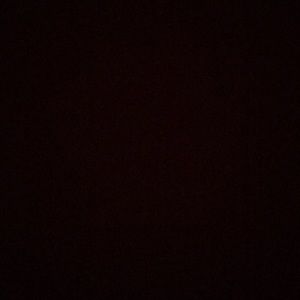 Meet your Posher, Bailee